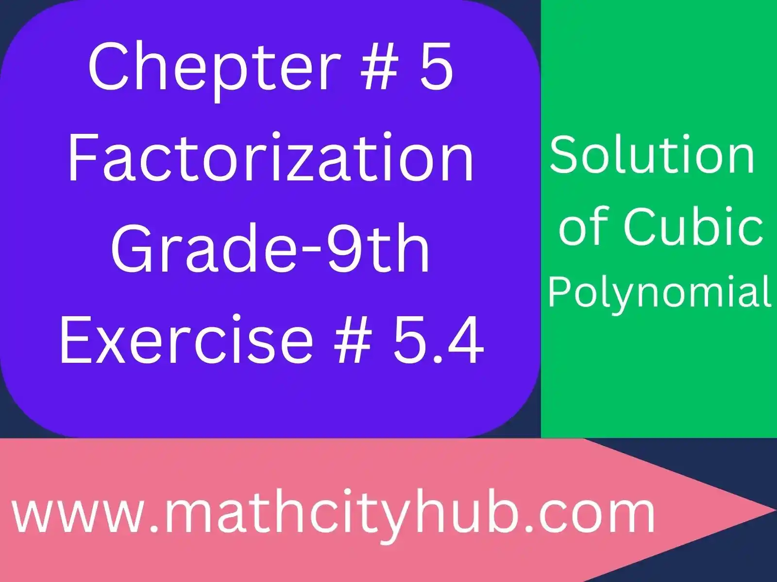 Exercise.5.4: Factorization of a Cubic Polynomial,